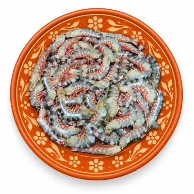 Tiger Shrimp